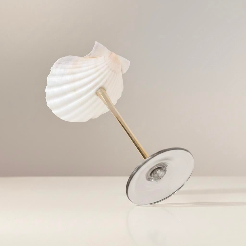 Cypraea