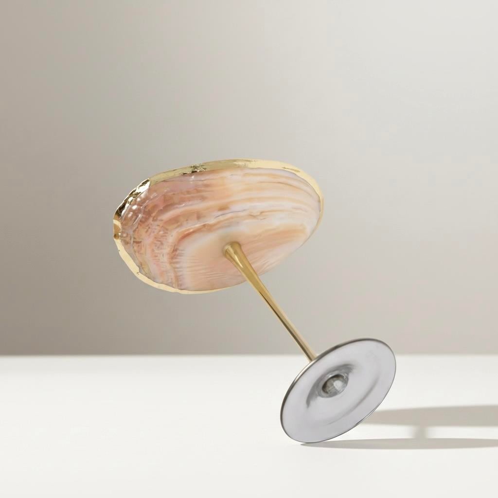 Nautilus