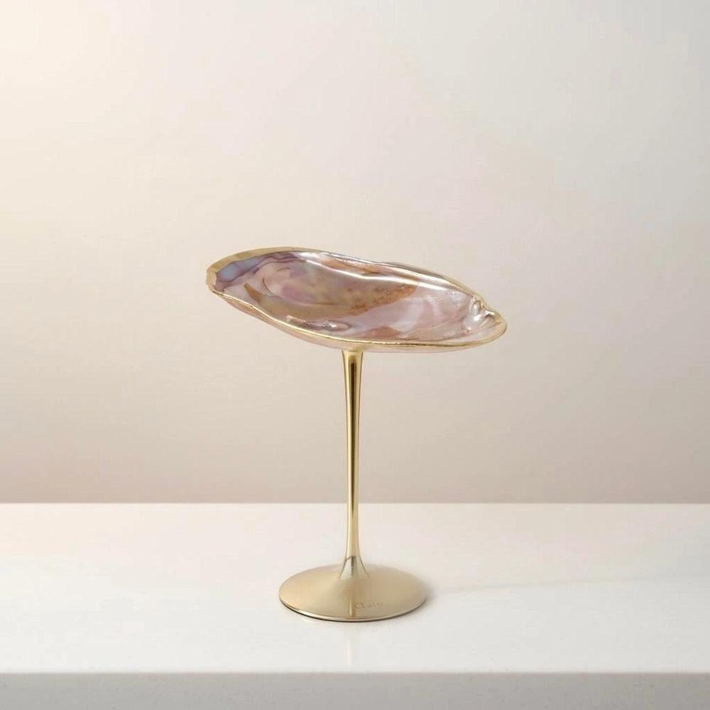 Nautilus